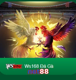 net88